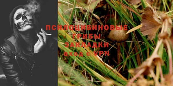 прущая мука Сосновый Бор