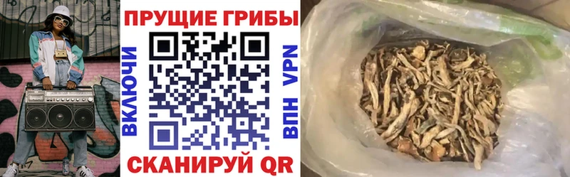 Галлюциногенные грибы прущие грибы  Десногорск 